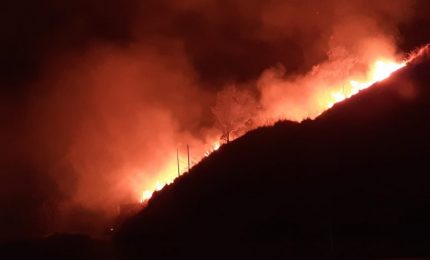 Fuoco anche a Capo Gallo. Musumeci, Scilla e Cordaro spieghino perché è fallito il Piano di prevenzione degli incendi boschivi in Sicilia
