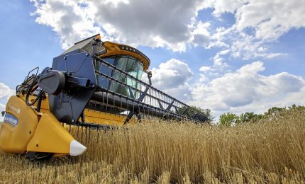 Indice FAO dei prezzi dei generi alimentari in calo, ma il caldo riduce le produzioni e fa crescere il prezzo del grano ovunque/ MATTINALE 722