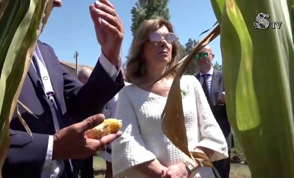 Siccit&agrave;, Casellati nel Polesine "Servono investimenti e misure"