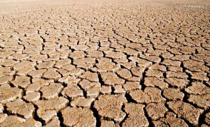 In Europa la peggiore siccit&agrave; degli ultimi 500 anni. Prezzi in crescita. Poche piogge e incendi in Cina. In Canada vola il grano duro