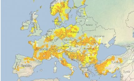 Il clima caldo e secco sta provocando danni ai prodotti agricoli di tanti Paesi europei. Prezzi Euronext in risalita