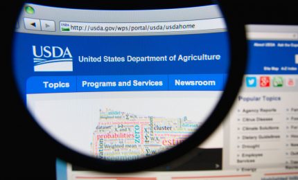 Con il fiato sospeso in attesa del rapporto WASDE dal quale dipendono i prezzi di mais e grano tenero. L'Italia fa il pieno di grano duro americano