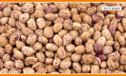 Sorsi di benessere - Uno stuzzicante aperitivo dal gusto etnico