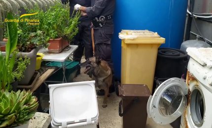 Sequestrata droga destinata ai pi&ugrave; giovani di Pescara e Teramo