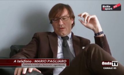 I pericoli del grano essiccato ad alte temperature e la speculazione sul prezzo del grano duro siciliano: parla Mario Pagliaro