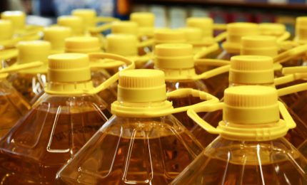 L'Ucraina vorrebbe che l'Unione europea realizzasse cinque terminal e un oleodotto per esportare olio di girasole