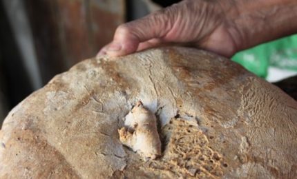 Che sarebbe successo nella Prima Repubblica con il pane a 10 mila lire al chilo? Oggi il pane costa 5 euro al chilo e nessuno parla!