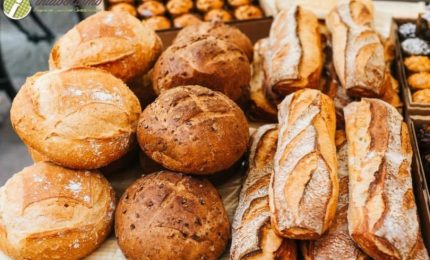 In Europa ad Agosto il costo del pane &egrave; cresciuto di oltre il 18% rispetto a un anno fa