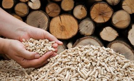 Mezzo mondo &egrave; senza grano e muore di fame eppure il grano nel Sud Italia costa il 50% in meno del Pellet da bruciare nella stufa!