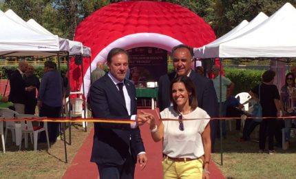Gebbia "Momento magico per atletica siciliana"