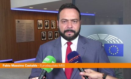 Energia, Castaldo "Sganciare prezzo elettricit&agrave; da quello del gas"