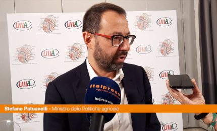 Patuanelli "Dialogo col Pd? Vedremo cosa metter&agrave; in campo"