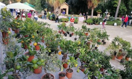 All&rsquo;Orto Botanico di Palermo 12 mila visitatori per &ldquo;Zagara d&rsquo;Autunno&rdquo;