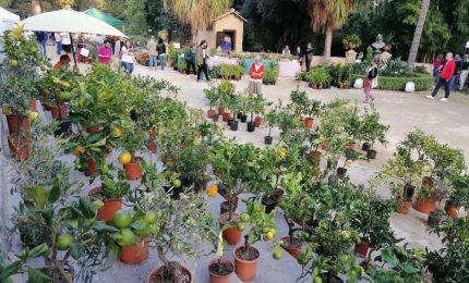 All’Orto Botanico di Palermo 12 mila visitatori per “Zagara d’Autunno”
