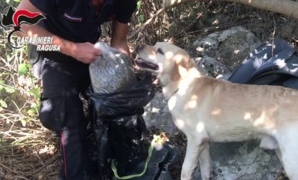 "Casa dello spaccio" a conduzione familiare scoperta nel ragusano