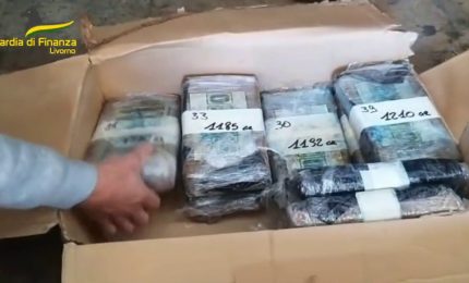 A Livorno maxi sequestro di cocaina proveniente dal Sud America