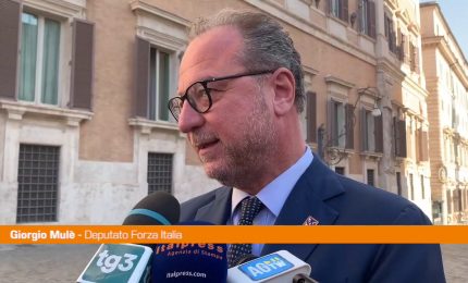 Governo, Mul&egrave; "Forza Italia solleva tema politico, non di poltrone"