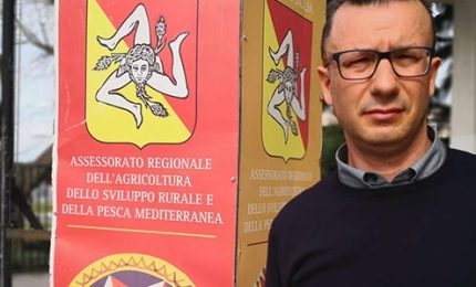 Il Canadair e i due piloti deceduti a Linguaglossa, parla il segretario regionale del Sifus operai forestali Giuseppe Fiore