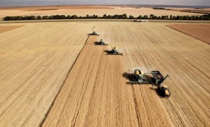 Non è vero che in Europa, Italia in testa, sta arrivando meno grano canadese. Anzi / MATTINALE 823