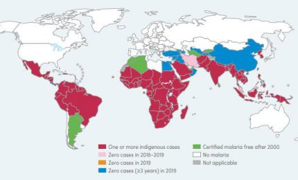Lo sapevate che in Sicilia è impossibile diagnosticare la malaria in via preventiva? Se non la prendi campi, se la prendi...