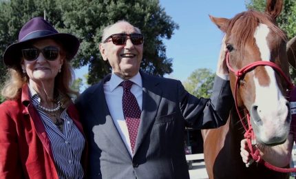 Il viaggio del cavallo Persano per la salute mentale arriva a Roma