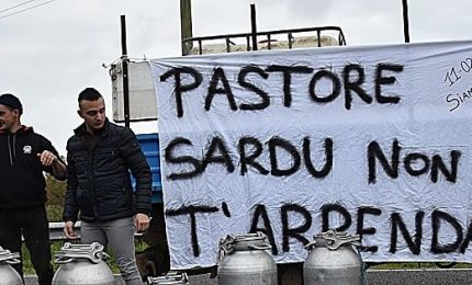 Oggi i pastori della Sardegna in piazza a Cagliari: costi di produzione insostenibili. E in Sicilia che fanno?