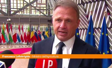 Agricoltura, Lollobrigida "Servono politiche compatibili con attivit&agrave;"