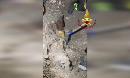 Cane intrappolato in un tubo, cos&igrave; &egrave; stato salvato