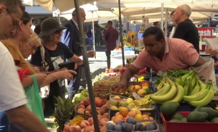 Bankitalia, economia in recupero ma resta il gap Nord-Sud