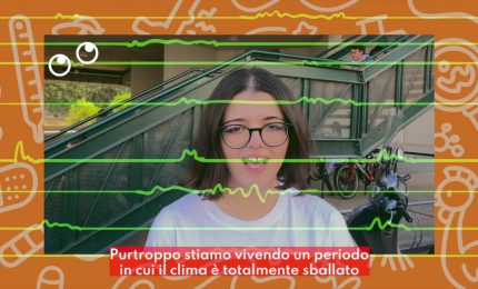 Febbre West Nile: cos'&egrave;,  come si prende e come si combatte