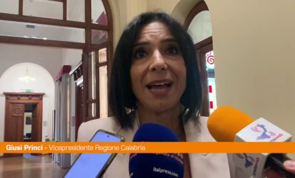 Princi "Progetto sulla povert&agrave; energetica importante per la Calabria"