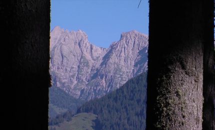 Quattro comunit&agrave; forestali sostenibili premiate a Ecomondo