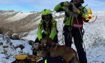 Salvati due cani in difficoltà in alta quota nel bresciano