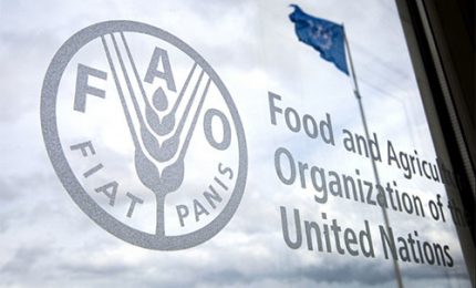 La FAO avverte che stanno aumentando in tutto il mondo i costi del cibo con problemi enormi nei Paesi poveri/ MATTINALE 849