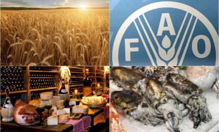 Scende l'indice FAO dei prezzi dei prodotti agricoli ma non per il grano il cui prezzo nel mondo aumenta di oltre il 3%