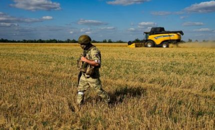 I 'mercati' scommettono sul 'pareggio' o sulla vittoria dei Dem americani per tenere in piedi guerra in Ucraina e speculazioni sul grano?