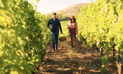 Turismo enogastrogastronomico, Italia sempre pi&ugrave; attrattiva