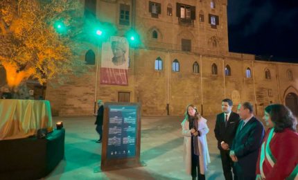 &ldquo;Ulivo della Pace&rdquo; davanti al Palazzo Reale di Palermo