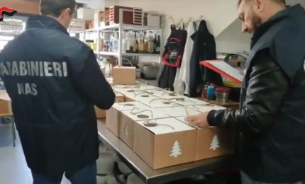 Controlli dei Nas per Natale, multe e denunce tra Agrigento, Palermo e Catania