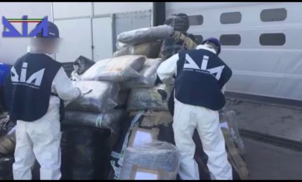 Traffico internazionale di droga dall'Albania, 14 arresti