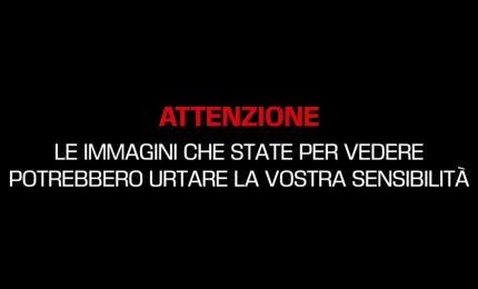 Milano, medico ridotto in fin di vita. Le immagini