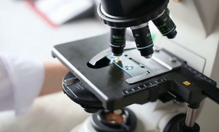 Tumore alla prostata, un naso elettronico per la diagnosi