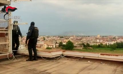 Tentata estorsione. Impresa edile denuncia, tre arresti nel Napoletano