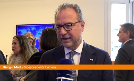 Mul&egrave; "Dopo manovra riforme su Welfare e forma di governo"