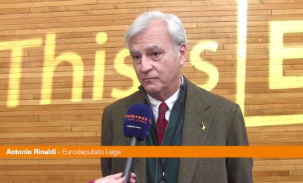 Bce, Rinaldi "Aumento tassi provoca danni per l'economia"