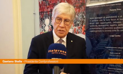 Stella "In Italia maggior numero di liberi professionisti in Ue"