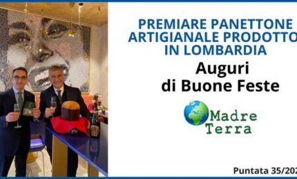 Madre Terra - Un premio al panettone artigianale prodotto in Lombardia