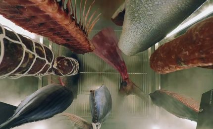 L&rsquo;innovazione che rende il cibo pi&ugrave; sostenibile