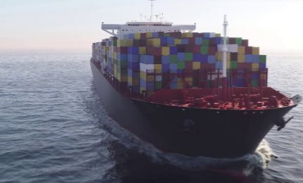 Distretti agroalimentari, nel primo semestre export +15%