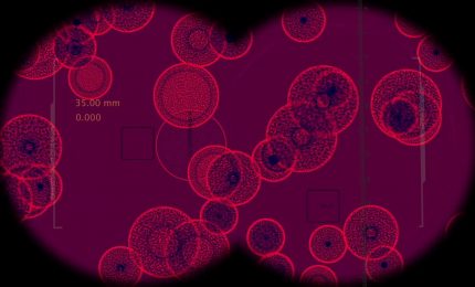 La resistenza agli antibiotici resta elevata ma &egrave; in calo